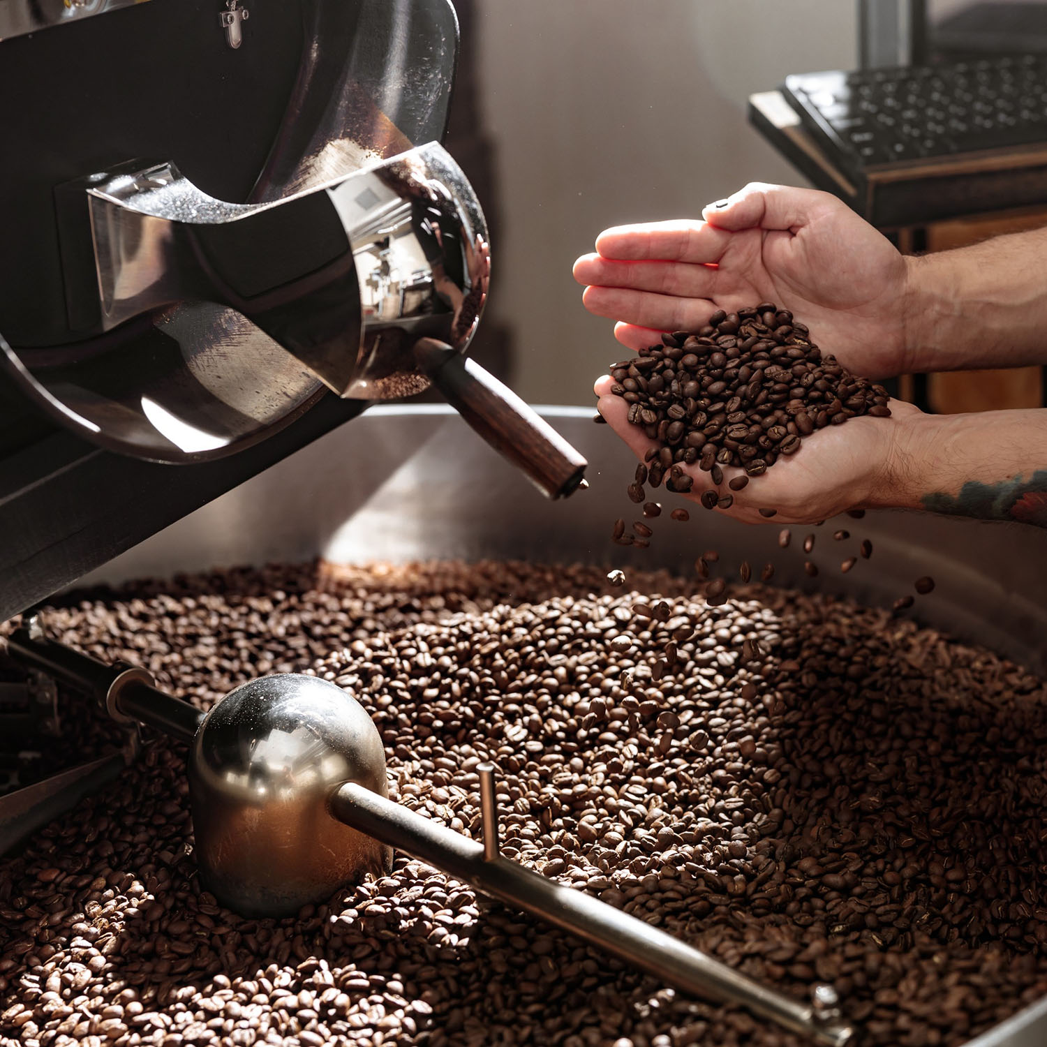 Expert Roasting