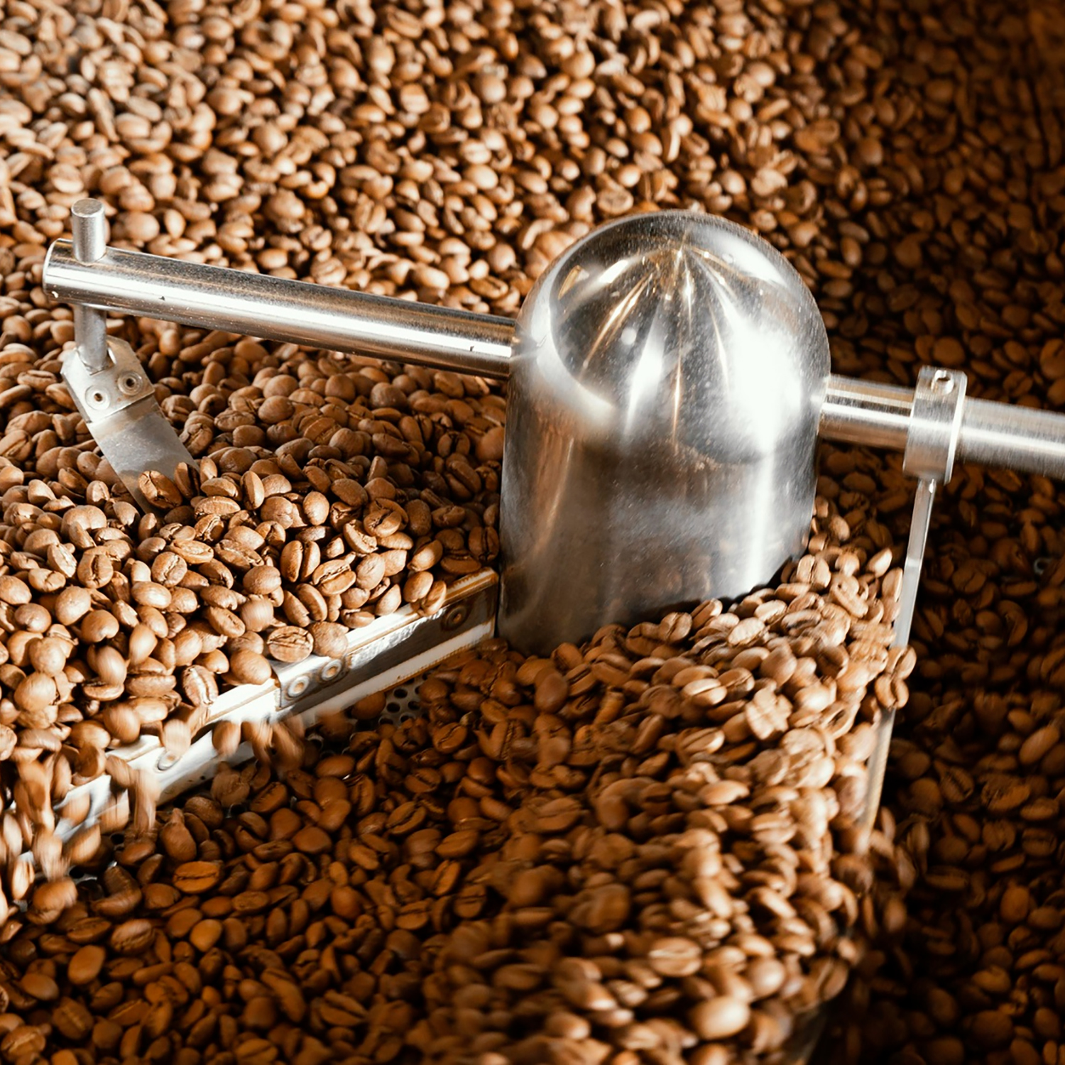 Precision Roasting